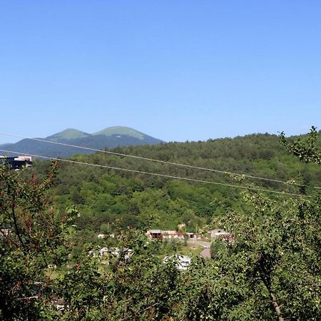 Dilijan Town Inn المظهر الخارجي الصورة