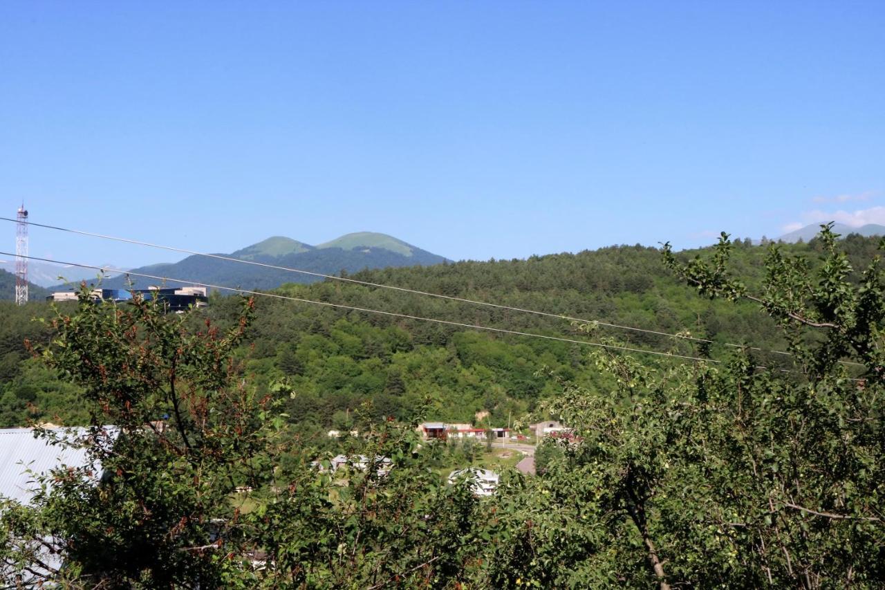 Dilijan Town Inn المظهر الخارجي الصورة